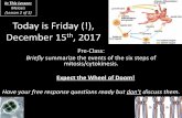 Today is Friday (!), December 15th, 2017 · –Little genetic diversity. ... another haploid cell (the polar body –more later) ... organelles for the potential zygote. –Compare