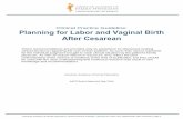 Clinical Practice Guideline: Planning for Labor and ... · American Academy of Family Physicians | Clinical Practice Guideline Planning for Labor and Vaginal Birth After Cesarean