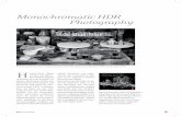 Monochromatic HDR Photography - Harold Davis Davis review.pdf · ﬁne art printer 25 Monochromatic HDR Photography H˜ arold Davis’ Bilder werden von Samm-lern weltweit gekauft