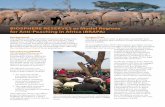 BIOSPHERE RESERVES as Model regions for Anti … · Model Regions for Anti-Poaching in Africa (BRAPA) project will pilot approaches to counter the twin threats of poaching for subsistence