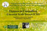 Options in Controlling Coconut Scale Insect (CSI) · PDF fileOptions in Controlling Coconut Scale Insect ... black pepper . Musa spp. banana . ... insect pests like Brontispa longgisima