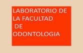 Presentación de PowerPoint - Universidad de Sevilla€¦ · Se notificará en el tablón que hay antes de entrar en el Laboratorio los trabajos ... -“ “ “ para la confección