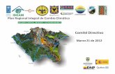 Plan Regional Integral de Cambio Climáticopricc-co.wdfiles.com/local--files/socios/2012_Mar_21_Presentación... · • CONPES CC /3700 Plan Nacional de Adaptación ... • Alcaldía