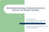 Electrophysiology & Neurochemistry Sensor for Stroke … · Electrophysiology & Neurochemistry Sensor for Stroke Studies Victor Nekrasov P.I. Professor Patrick J. Rousche ... Microsoft