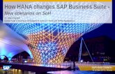 How HANA changes SAP Business Suite · How HANA changes SAP Business Suite - ... ii VMS AG SAP Managed Cloud as a Service ... SAP ERP to SAP HANA compared to HW refresh on Classical
