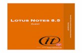 Lotus Notes 8.5 Client · Lotus Notes 8.5 - Client 3 Basic Standard Business cards can also be viewed in a number of places including the hovering over individual’s names in your