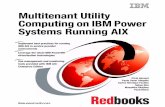 Multitenant Utility Computing on IBM Power Systems Running AIX · iv Multitenant Utility Computing on IBM Power Systems Running AIX ... 5.7.1 Collecting AIX accounting data from the