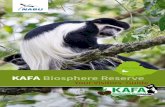 KAFA Biosphere Reserve - Ethiopia Biosphere Reserve Visitor... · The goal of The Nature and Biodiversity Conservation ... The Kafa Biosphere Reserve, a predominantly highland ...
