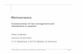 Fundamentals of risk management and reinsurance in …€¦ · Fundamentals of risk management and reinsurance in practice Peter Liebwein ... CHAPTER 2: Risk management for insurers
