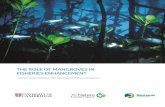 The Role of Mangroves in Fisheries Enhancement et al 2014 The Role of... · THE ROLE OF MANGROVES IN FISHERIES ENHANCEMENT Authors: James Hutchison, Mark Spalding and Philine zu Ermgassen