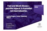 Jeremy Rogers, Senior Veterinary Officer - MINTRAC · Foot and Mouth Disease – possible impacts in Australian red meat industries. Jeremy Rogers, Senior Veterinary Officer