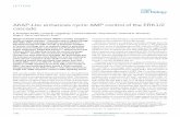 AKAP-Lbc enhances cyclic AMP control of the …faculty.washington.edu/scottjdw/pdfs/smith_ncb_2010_p1242.pdf · AKAP-Lbc enhances cyclic AMP control of the ERK1 ... NIH3T3 fibroblasts