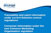 Traceability and catch information under current … and catch information... · Traceability and catch information under current fisheries ... Traceability and catch information