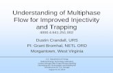 Understanding of Multiphase Flow for Improved Injectivity ... Library/Events/2012/Carbon Storage RD... · Understanding of Multiphase Flow for Improved Injectivity and Trapping ...