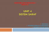 UNIT 4 SISTEM SARAF - 4.pdf · PDF filedilakukan oleh sistem saraf lebih cepat tetapi kesan tindakan adalah sekejap ... tengah ke tepi): uppermost cell mgawal kaki manakala lowest