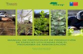 MANUAL DE PROTOCOLOS DE PRODUCCIÓN DE … · manual de protocolos de producciÓn de especies utilizadas por el programa de arborizaciÓn andrea alvarado ojeda omar levet cuminao