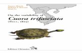 Blanck · McCord · Le On the variability of Cuora … · Torsten Blanck William P. McCord Minh Le On the variability of Cuora trifasciata (Bell, 1825); the rediscovery of the type