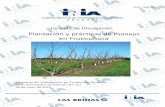 Plantación y prácticas de manejo en Fruticultura · Ing. Agr. Pablo Gorriti. ... Sistema de conducción ... A los árboles de la cortina es aconsejable realizarles cada dos años,