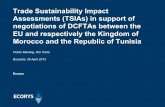 Trade Sustainability Impact Assessments (TSIAs) in …trade.ec.europa.eu/doclib/docs/2013/may/tradoc_151117.pdf · › data / methodology for estimating externalities from environmental