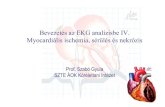 Bevezetés az EKG analízisbe IV - users.atw.huusers.atw.hu/aokszote/download.php?fname=./02... · Bevezetés az EKG analízisbe IV. Myocardiális ischemia, sérülés és nekrózis