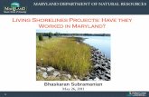 Living Shorelines Projects: Have they Worked in … · Living Shorelines Projects: Have they Worked in Maryland? 2 ... MLW MHW - Mean High Water ... 6/7/2011 3:54:57 PM ...