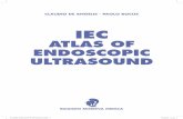 ATLAS OF ENDOSCOPIC ULTRASOUND -  · PDF fileviii iec - atlas of endoscopic ultrasound 1 11norect a um and colon