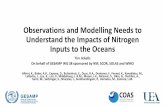 Observations and Modelling Needs to Understand …€¦ · Observations and Modelling Needs to Understand the Impacts of Nitrogen Inputs to the Oceans Tim Jickells On behalf of GESAMP
