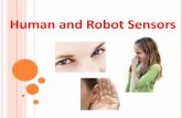 Human and Robot Sensors - TeachEngineering · Human and Robot Sensors Quiz 1. ... Sensors throughout your body that sense temperature ... Different pitches cause different parts of