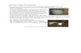 Norman Foster: Bundesadler - Unbenanntes Dokumentlernprogramm-bundestag.medpaed.de/pdf/fette_henne.pdf · Norman Foster: Bundesadler Norman Foster war der Architekt beim Umbau des
