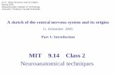 9.14 - Brain Structure and its Origins Spring 2005 ...dspace.mit.edu/.../contents/lecture-notes/class2_2005.pdf · A sketch of the central nervous system and its origins G. Schneider
