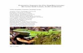 "Proposal to Sequence the First Reptilian Genome: … · Proposal to Sequence the First Reptilian Genome: the Green Anole Lizard, Anolis carolinensis Ad hoc Reptilian Genomics Working