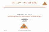 BIG DATA – BIG NURSING - vfp-apsi.ch paans 24.11... · BIG DATA – BIG NURSING ... systemic point of view. ... 17.01.16 What is the predictive power of nursing diagnosis documentation