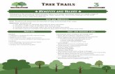 Benefits and Values - Texas A&M Forest Service …texasforestservice.tamu.edu/.../Tree_Trails/All3BenefitsAndValues.pdf · On a chart/whiteboard use a graphic organizer to ... Have
