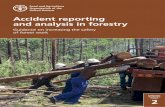 Accident reporting and analysis in forestry - fao.org · Accident reporting forms ... 7 Domino theory of accident causation by Heinrich ... 3 Example of descriptions of forestry and