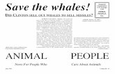 Save the whales! - ANIMAL PEOPLE FORUMnewspaper.animalpeopleforum.org/wp-content/uploads/2016/02/June... · Nonprofit Organization U.S. Postage Paid ANIMAL PEOPLE, Inc. ANIMAL PEOPLE