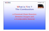 What is Fire ? The Combustion - IWMA · Fire Extinguishing Agents ... Fixed System Integrated Technologies. ... • Local Application Systems. Road and Railway Tunnel
