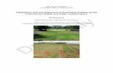 Adaptation and management of Australian buffalo … · Adaptation and management of Australian buffalo grass ... This experiment was designed to evaluate the tolerance of a number