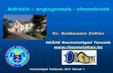 Adhézió – angiogenezis - chemokinek · Adhézió – angiogenezis - chemokinek Dr. Szekanecz Zoltán DEÁOK Reumatológiai Tanszék Immunológiai Tanfolyam, 2017. február 1.