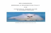 RECOMMENDED BREEDING & REGISTRATION POLICY FOR CHINCHILLA ...chinchilla-cat- · PDF fileBREEDING & REGISTRATION POLICY FOR CHINCHILLA, SHADED SILVER ... veloped from one cat, ... (r