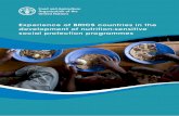Experience of BRICS countries in the development of ... · on Nutrition-Sensitive Social Protection Programmes, ... the case of the ... of BRICS experiences in the development of