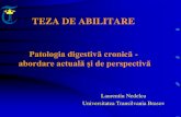 TEZA DE ABILITARE - old.unitbv.roold.unitbv.ro/Portals/31/Abilitare/Teze/Prezentare teza/prezentare... · • Studiu pilot într-un ambulator de pediatrie • Statusul epidemiologic