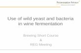 Use of wild yeast and bacteria in wine fermentationwine.appstate.edu/sites/wine.appstate.edu/files/NonSaccharomyces... · Use of wild yeast and bacteria in wine fermentation Brewing