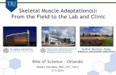 Skeletal Muscle Adaptation(s): From the Field to the Lab ... · TRI Skeletal Muscle Adaptation(s): From the Field to the Lab and Clinic Bite of Science – Orlando Robert Standley,