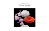 Chapter 19 (3) Hemostasis · – blood clotting (coagulation) • platelets play an important role in all three of these mechanisms! ... Microsoft PowerPoint - C19w_3_hemostasis_S2014