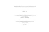 THE OF MSTITUTIONAL DISTANCE MULTINATIONAL ENTERPRISE STRATEGY · MULTINATIONAL ENTERPRISE STRATEGY a dissertation submitted to the Faculty of Graduate Studies of ... this dissertation