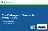 The Endangered Species Act Meets Alaska€¦ · 2 What is it? How does it work? How does it uniquely affect Alaska? ENDANGERED SPECIES ACT