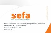 Sefaâ€™s Offerings and Current Programmes for Small ... Sefaâ€™s Offerings and Current Programmes