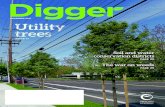 Soil and water conservation districts - Digger magazine · including City Sprite® zelkova (Zelkova serrata ‘JFS-KW1’), shown planted along this roadway. ... josh@robinsonnursery.com