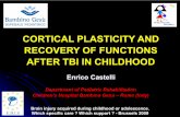 CORTICAL PLASTICITY AND RECOVERY OF FUNCTIONS AFTER … · CORTICAL PLASTICITY AND RECOVERY OF FUNCTIONS AFTER TBI IN CHILDHOOD. ... ¾After stroke, ... TBI to the developing brain