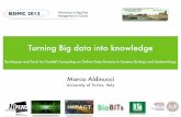 Turning Big data into knowledgecalvados.di.unipi.it/storage/talks/2012_BDMC_Europar_Invited.pdf · StochKit-FF: Efﬁcient systems biology on multicore architectures. ... e1 e2 e3